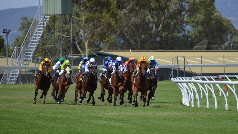 Horse racing track